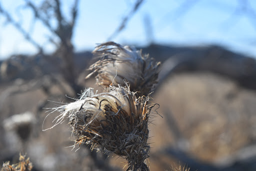 Convention Information Bureau «Alton Regional Convention & Visitors Bureau», reviews and photos, 200 Piasa St, Alton, IL 62002, USA