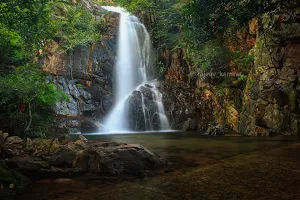Panari Waterfall & Picnic spot image