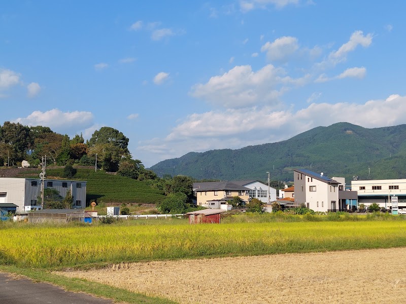 ふれあい公園(鯉のぼり)