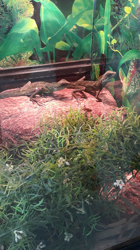 Pet Store «Wet Pets N Critters», reviews and photos, 103 TX-281 Loop, Longview, TX 75605, USA