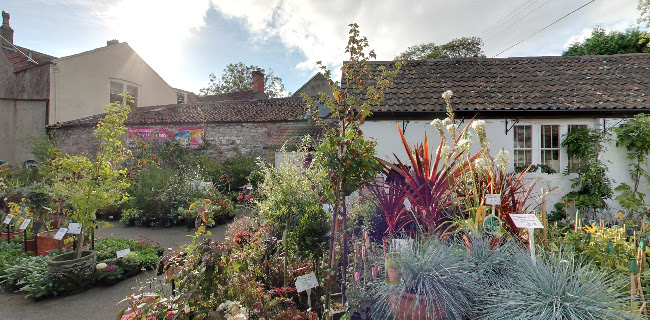 Thornbury Garden Shop - Landscaper