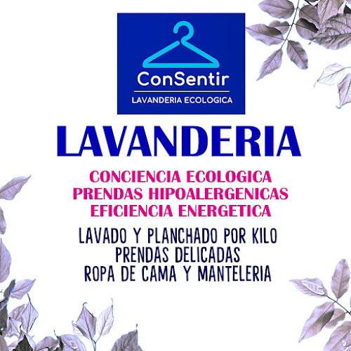Opiniones de Lavandería ConSentir en Algarrobo - Lavandería