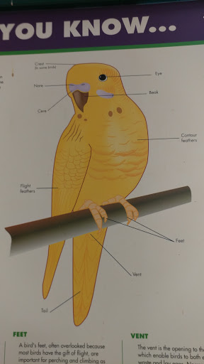 Pet Supply Store «Petco Animal Supplies», reviews and photos, 1719 York Rd, Lutherville, MD 21093, USA