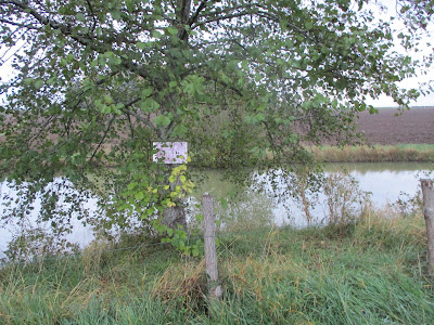 LES HAYARDS à Saint-Jean-de-Trézy