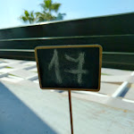 Photo n°2 de l'avis de Simona.e fait le 11/09/2018 à 19:38 sur le  Mami Ostia Stabilimento Pizzeria à Rome