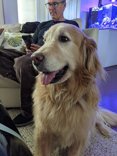 Pet Supply Store «Pet Food Express», reviews and photos, 868 Sir Francis Drake Blvd, San Anselmo, CA 94960, USA