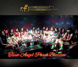 peach blossom Massage-bar-karaoke photo