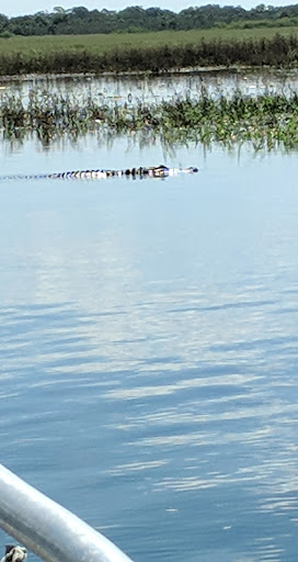 Tourist Attraction «Twister Airboat Rides», reviews and photos, 8199 W King St, Cocoa, FL 32926, USA