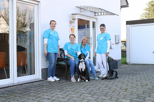 Kleintierpraxis Dr. Schiewe unter Northeim, 