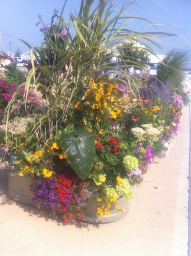 Garden Center «Salsbery Garden Center», reviews and photos, 6346 W Broadway, McCordsville, IN 46055, USA