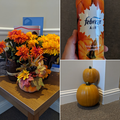 Insurance Agency «American Family Insurance - Thomas Schlosser», reviews and photos