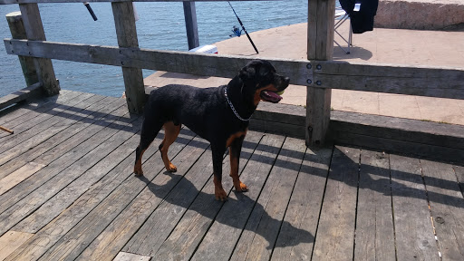 Park «Branford Point», reviews and photos, 4 Harbor St, Branford, CT 06405, USA