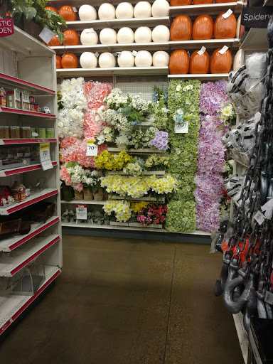 Craft Store «Michaels», reviews and photos, 13716 W Bell Rd, Surprise, AZ 85374, USA
