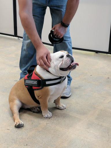 Pet Supply Store «Unleashed by Petco», reviews and photos, 16848 San Fernando Mission Blvd, Granada Hills, CA 91344, USA