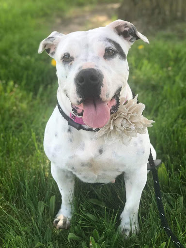 4067 S Lapeer Rd, Metamora, MI 48455, USA