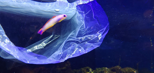 Pet Supply Store «All About Pets», reviews and photos, 9285 Cincinnati Columbus Rd, West Chester Township, OH 45069, USA