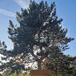 Photo n°1 de l'avis de Michael.a fait le 02/10/2023 à 22:44 sur le  XXL Restaurant Waldgeist Hofheim à Hofheim