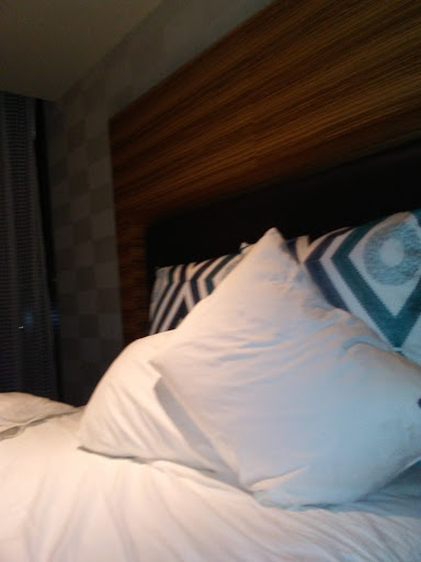 Hotel «Seminole Hard Rock Hotel & Casino Tampa», reviews and photos, 5223 Orient Rd, Tampa, FL 33610, USA