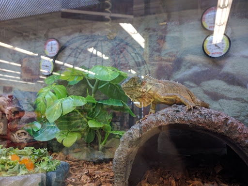 Pet Supply Store «Petco Animal Supplies», reviews and photos, 1624 Governors Square Blvd, Tallahassee, FL 32301, USA