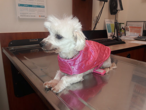 Pet Supply Store «PetSmart», reviews and photos, 60 NJ-17, Paramus, NJ 07652, USA