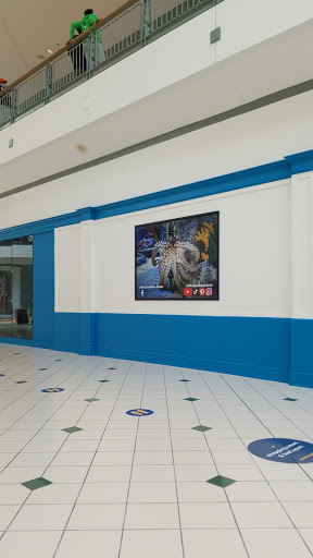 Video Game Store «Gameware», reviews and photos, 6401 Bluebonnet Blvd, Baton Rouge, LA 70810, USA