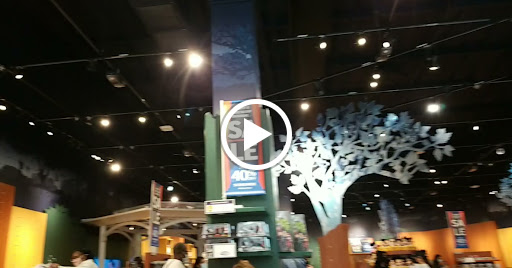 Toy Store «Disney Store», reviews and photos, 21712 Hawthorne Blvd, Torrance, CA 90503, USA