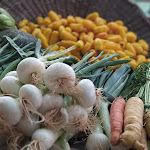 Photo n° 3 de l'avis de Claire.u fait le 12/07/2020 à 17:06 pour Le Potager de Saquier Nice à Nice