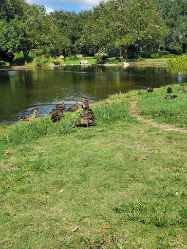 Performing Arts Theater «Savannah Center», reviews and photos, 1575 Buena Vista Blvd, The Villages, FL 32164, USA