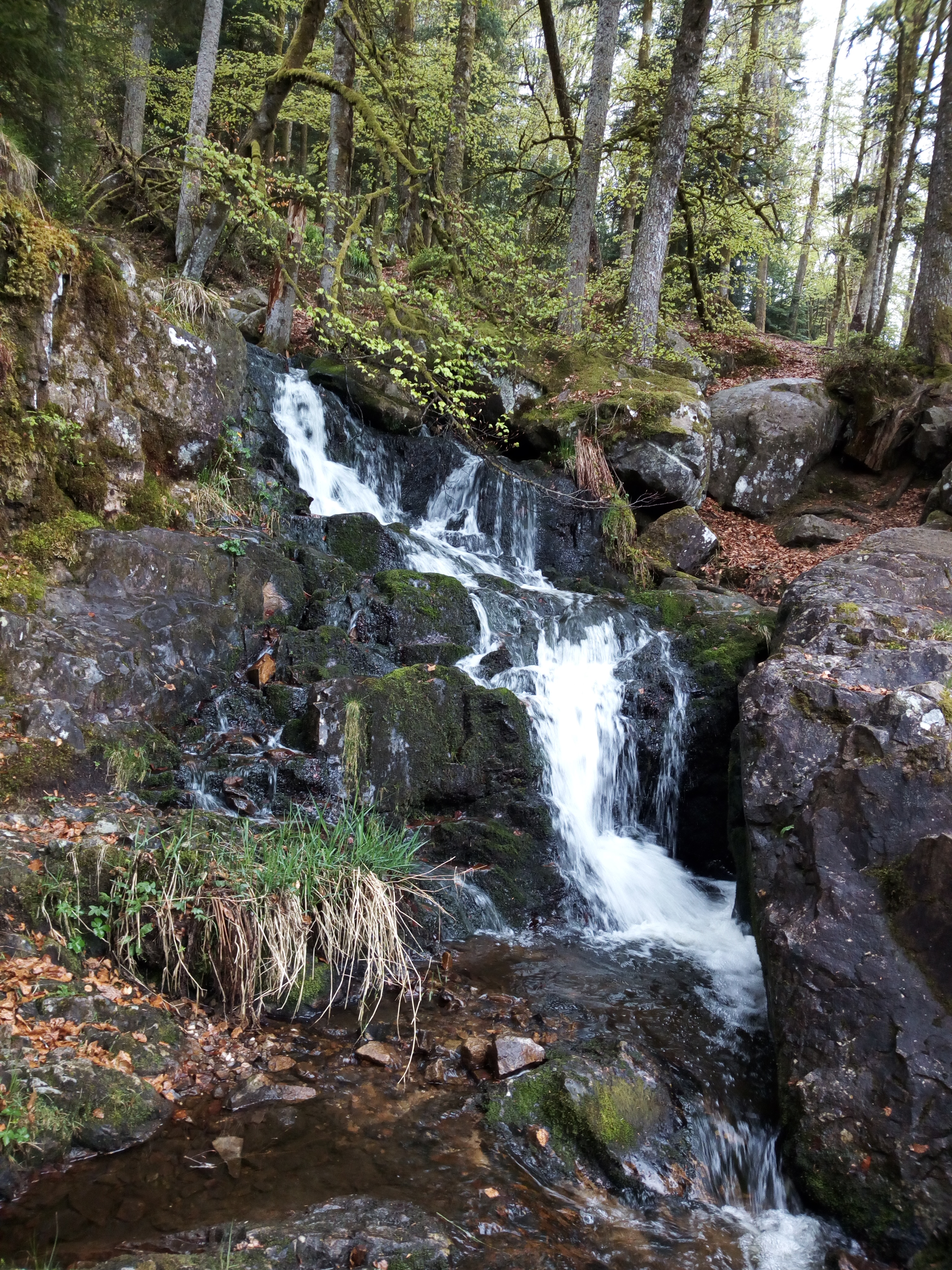 Photo n° 4 de l'avis de Eric.i fait le 24/04/2019 à 14:44