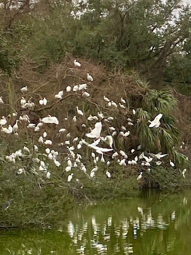 Stable «Lawton Stables», reviews and photos, 190 Greenwood Dr, Hilton Head Island, SC 29928, USA