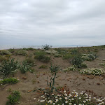 Photo n°5 de l'avis de Erboccia.b fait le 16/05/2021 à 17:30 sur le  Ristorante AcaciAmare à Marina di Castagneto Carducci