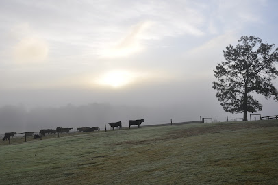 Fred Smith Company Ranch