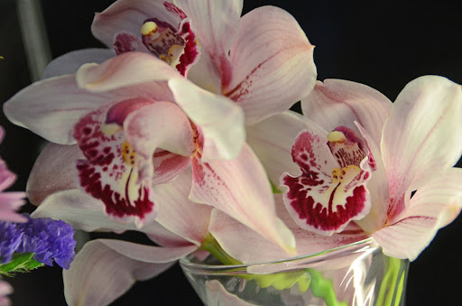 Florist «Chapel Hill Florist», reviews and photos, 2913 IL-120, McHenry, IL 60051, USA