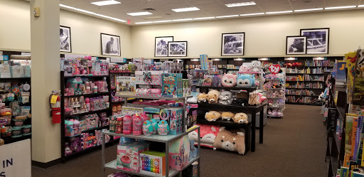 Book Store «Books-A-Million», reviews and photos, 1810 Cumming Hwy, Canton, GA 30114, USA