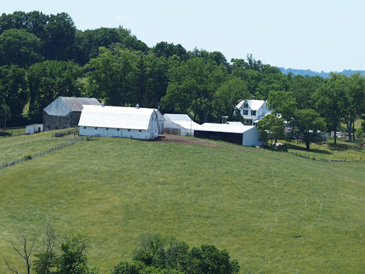 Winery «Hillsborough Vineyards», reviews and photos, 36716 Charles Town Pike, Purcellville, VA 20132, USA