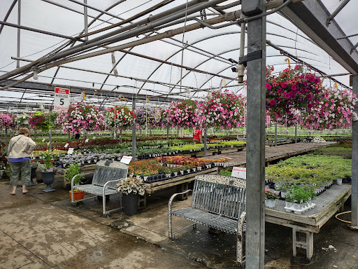 Plant Nursery «Blooming Acres», reviews and photos, 7561 State Rd, Wadsworth, OH 44281, USA