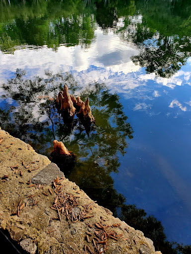 Park «Pullen Park», reviews and photos, 408 Ashe Ave, Raleigh, NC 27606, USA