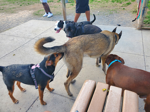 Park «Lenora Park», reviews and photos, 4515 Lenora Church Rd, Snellville, GA 30039, USA