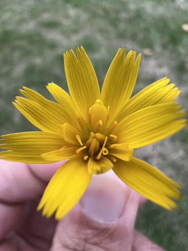 Self-Storage Facility «Pro-Guard Self Storage», reviews and photos, 20554 Little Valley Rd NE, Poulsbo, WA 98370, USA