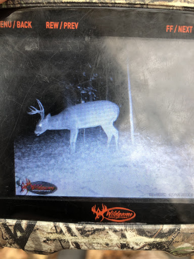 Pet Supply Store «Pet Supplies Plus», reviews and photos, 4405 Milestrip Rd, Blasdell, NY 14219, USA