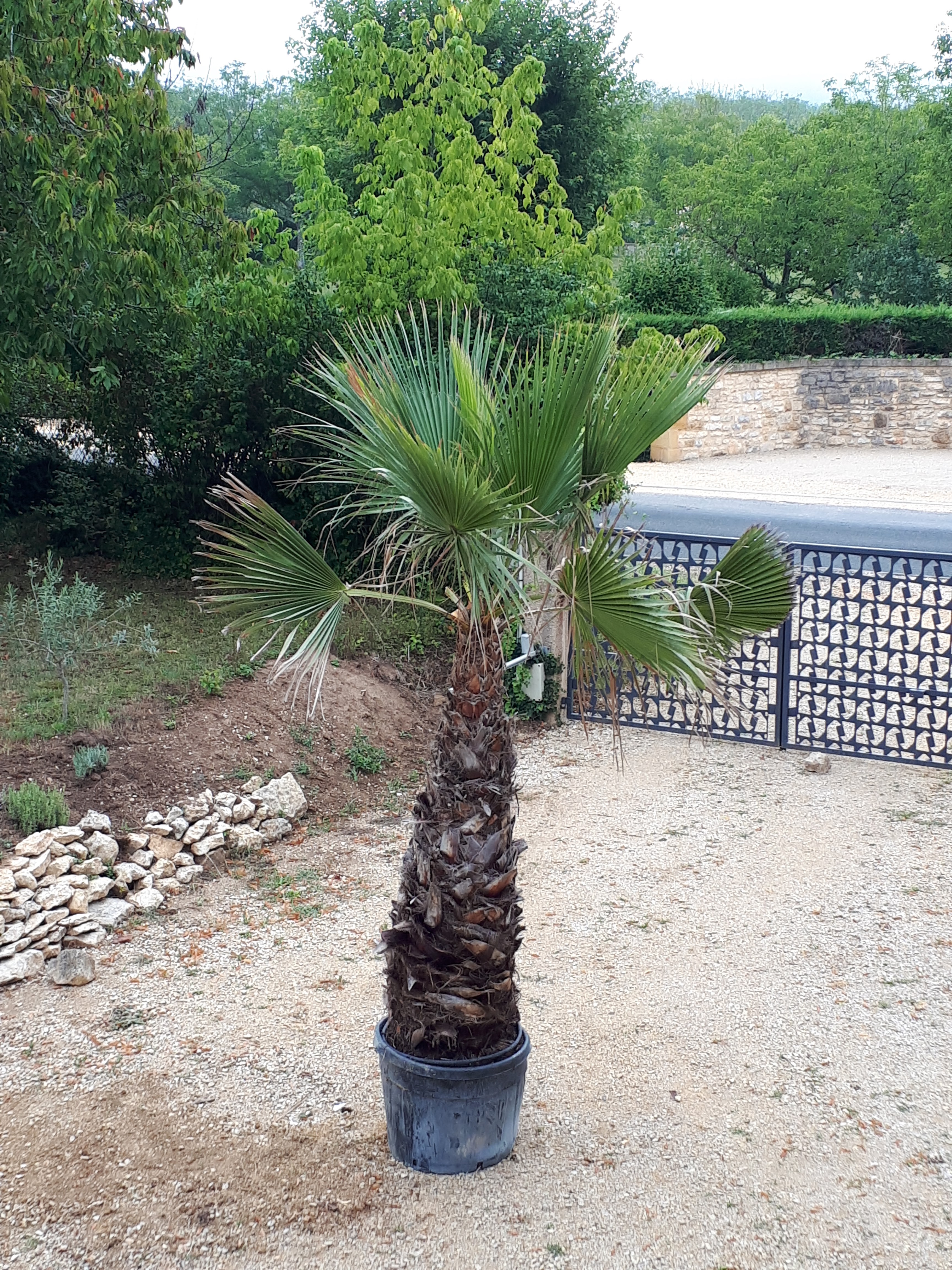 Photo n° 1 de l'avis de Patricia.e fait le 04/08/2019 à 13:02