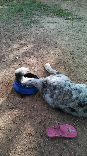 Park «Espee Park», reviews and photos, 450 E Knox Rd, Chandler, AZ 85225, USA