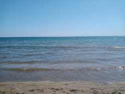 Zdjęcie Turtle beach obszar udogodnień