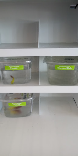 Pet Supply Store «Petco Animal Supplies», reviews and photos, 4411 16th St, Moline, IL 61265, USA