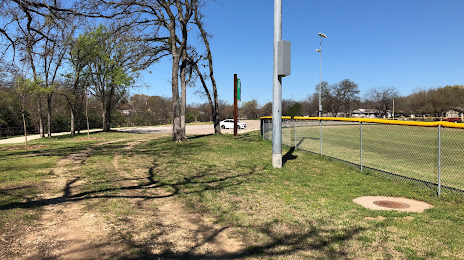 Tree Services in Haltom City