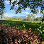 Photo n°1 de l'avis de Alexander.e fait le 08/04/2024 à 12:11 sur le  Zum Fischer Am See à Prien am Chiemsee
