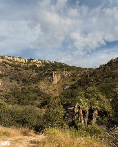 Estación Biológica Agua Zarca UAA, Depto. Biología, UAA