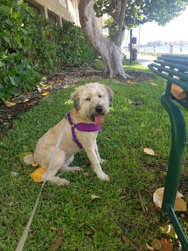 Park «Brickell Key Park», reviews and photos, Brickell Key Dr, Miami, FL 33131, USA