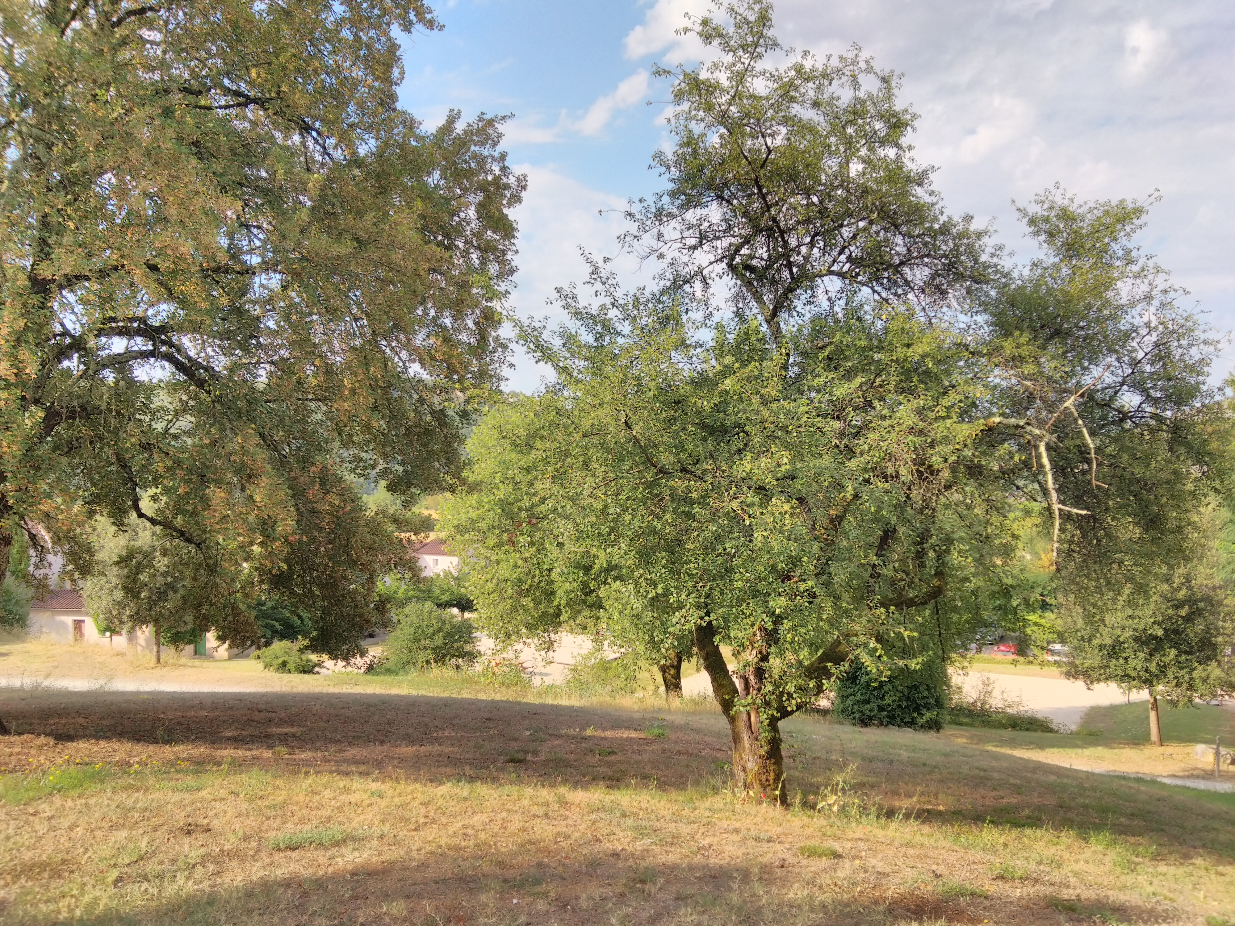 Photo n° 4 de l'avis de Breizh.r fait le 30/07/2023 à 15:54