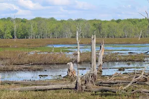 Missisquoi National Wildlife Refuge Admin Building And Visitor Contact Station image